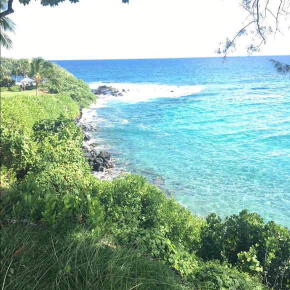 Meet your Posher, Laura - Picture 2 of 2